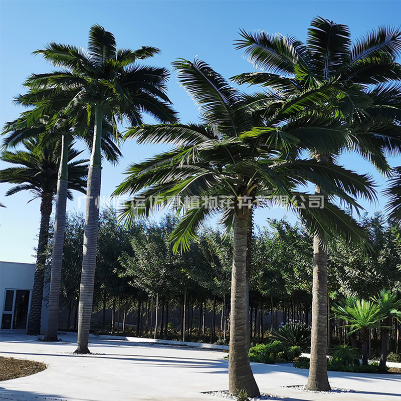 東莞公園仿真椰子樹