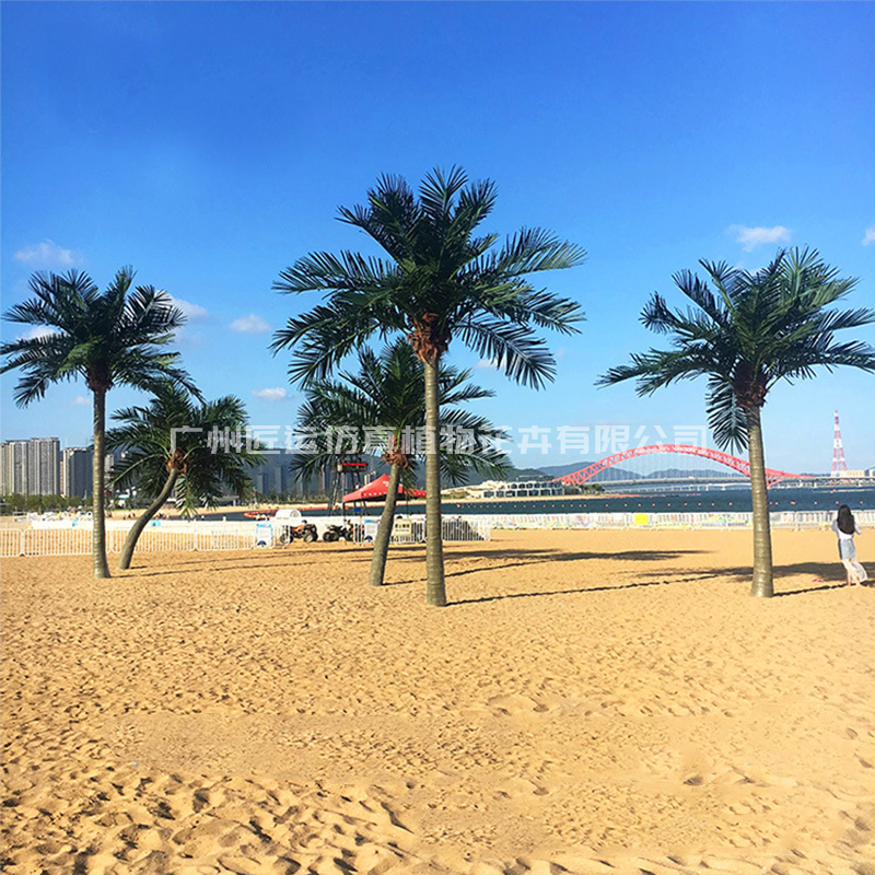大連金沙灘仿真椰子樹